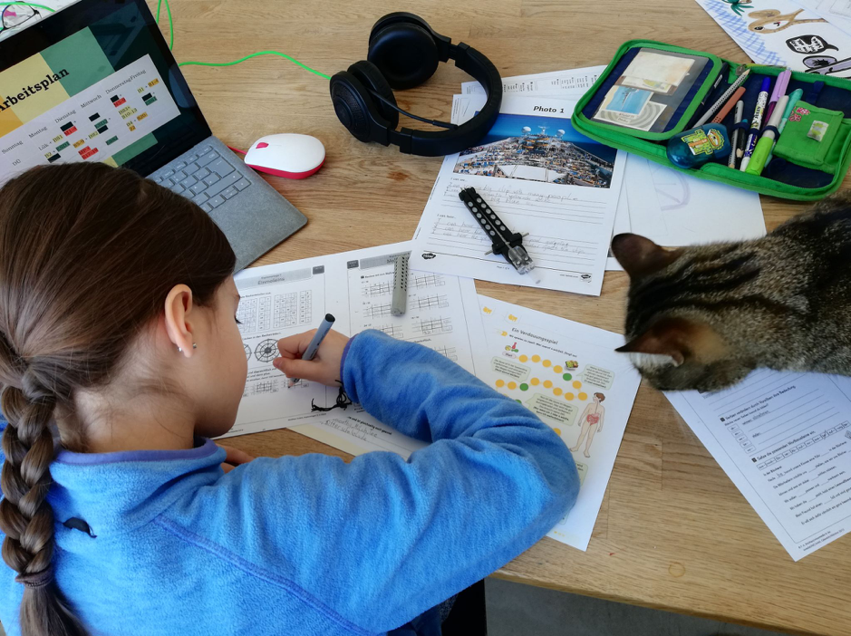 Mädchen sitzt am Schreibtisch mit Arbeitsblättern, Laptop und Katze