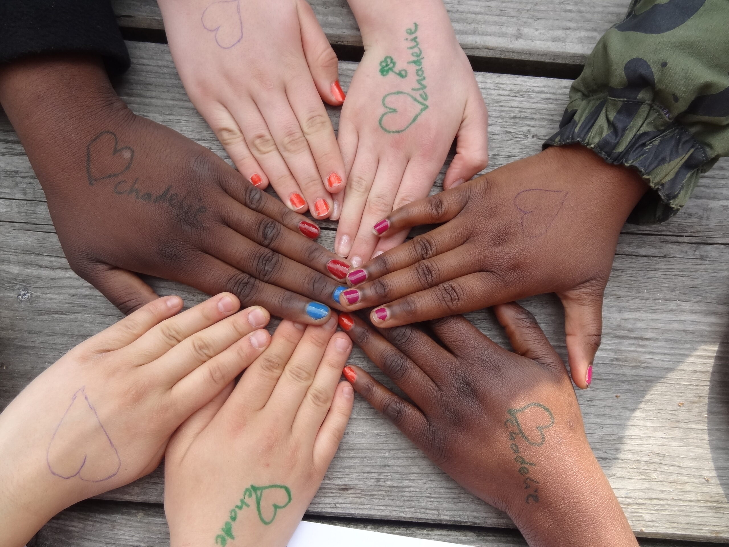 Hands showing community and diversity